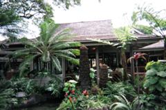 view of the entrance of the Willows Restaurant dining lanai